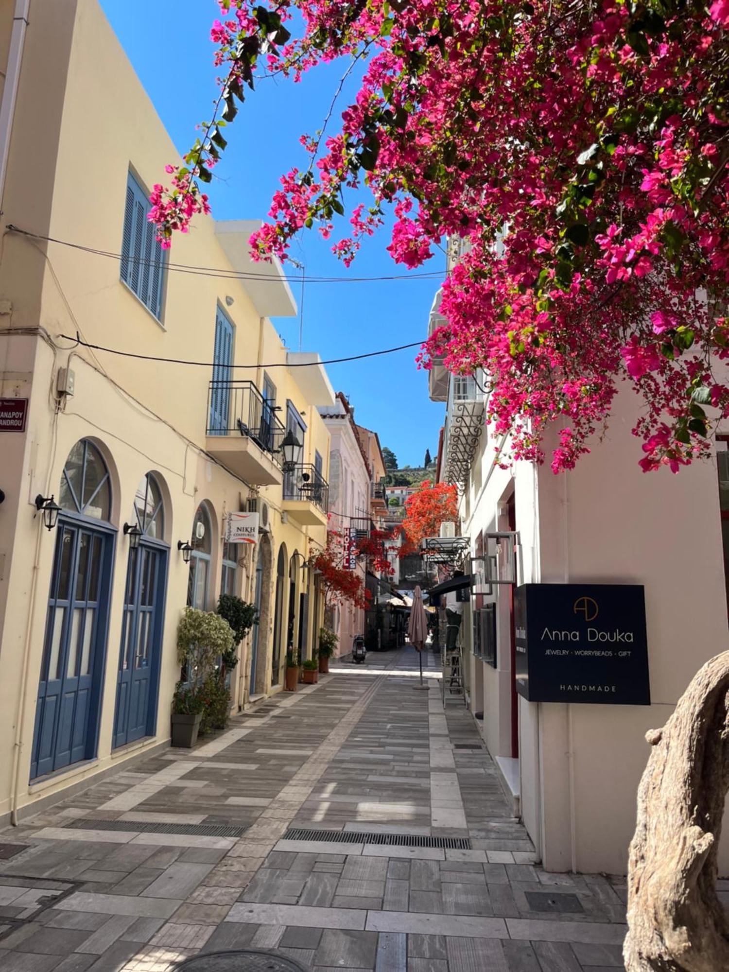 Villa Artemis Nafplion Tolón Exterior foto